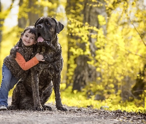 Alejka, Bullmastiff, Dziewczynka, Dziecko, Pies, Pręgowany