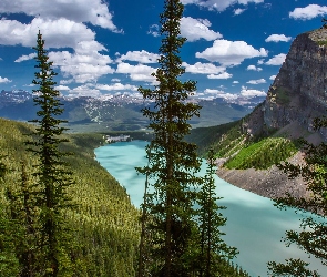 Park Narodowy Banff, Kanada, Drzewa, Góry, Drzewa, Lasy, Jezioro Moraine