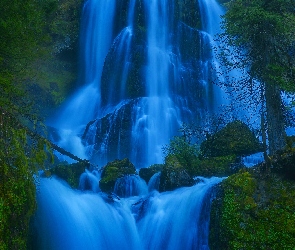 Stany Zjednoczone, Gifford Pinchot National Forest, Wodospad Fall Creek Falls, Las, Stan Waszyngton