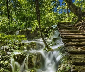 Park Narodowy Jezior Plitwickich, Mech, Chorwacja, Wodospad, Schodki, Las, Roślinność, Drewniane