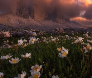 Góry, Ciemne, Dolomity, Włochy, Łąka, Białe, Chmury, Kwiaty, Masyw Tre Cime di Lavaredo