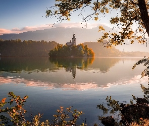 Mgła, Góry, Wyspa Blejski Otok, Drzewo, Kościół, Słowenia, Jezioro Bled