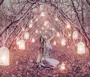 Kobieta, Drzewa, Lampiony