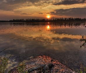 Zachód Słońca, Rośliny, Jezioro