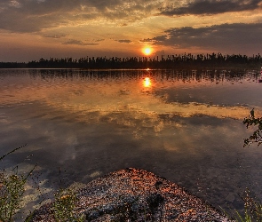 Jezioro, Rośliny, Zachód Słońca