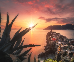 Zachód słońca, Góry, Cinque Terre, Rośliny, Morze, Włochy, Vernazza