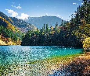 Chiny, Park Narodowy Jiuzhaigou, Drzewa, Góry, Lasy, Jezioro Arrow Bamboo