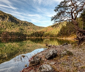 Jezioro, Kamienie, Drzewa, Góry