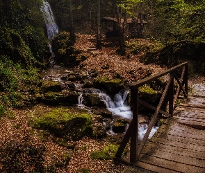 Altanka, Las, Most, Drewniany, Rzeczka, Kamienie