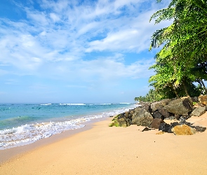 Sri Lanka, Palmy, Plaża, Kamienie, Morze