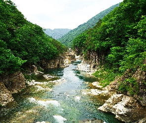 Drzewa, Kamienie, Wyspa Honsiu, Góry, Rzeka, Japonia, Park Narodowy Nikko