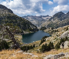 Jezioro, Drzewa, Góry