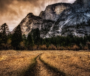 Drzewa, Ścieżka, Stan Kalifornia, Stany Zjednoczone, Park Narodowy Yosemite, Góry Half Dome