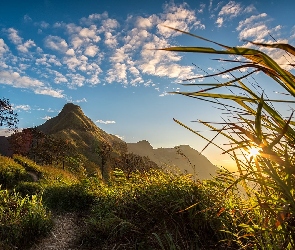 Park Narodowy Thong Pha Phum, Tajlandia, Wschód słońca, Góra Khao Chang Phueak, Ścieżka, Trawy, Góry