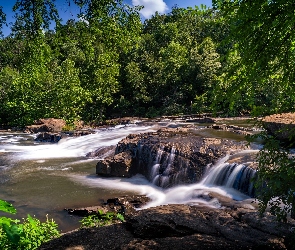 Kamienie, Rzeka, Stan Georgia, Stany Zjednoczone, High Falls State Park, Drzewa