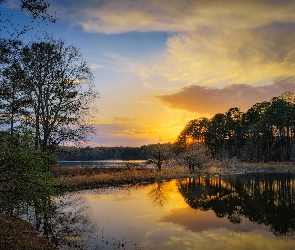 Stany Zjednoczone, Las, Zachód słońca, Odbicie Drzewa, Jezioro West Point Lake