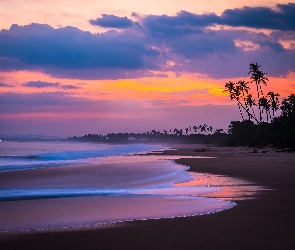 Plaża, Palmy, Zachód Słońca, Ocean, Sri Lanka