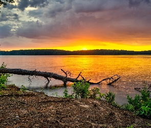 Zachód słońca, Jezioro West Point Lake, Stan Georgia, Stany Zjednoczone, Park Glass Bridge Recreation Area, Drzewa