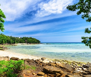Tajlandia, Wyspa Phi Phi, Drzewa, Plaża, Kamienie, Morze