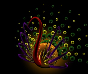 Grafika 3D, Paw
