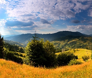 Ukraina, Promienie Słońca, Góry, Karpaty, Jesień
