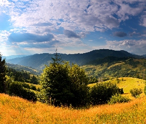 Jesień, Promienie Słońca, Karpaty, Góry, Ukraina