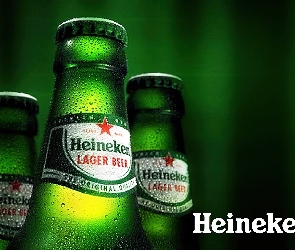 Heineken, butelki, Piwo
