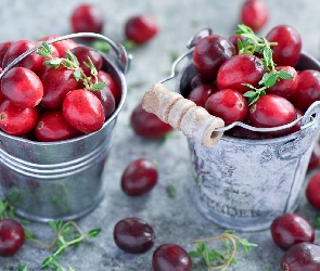 Cynowe, Wiaderka, Żurawina