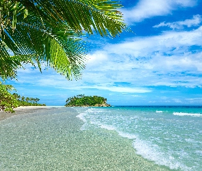 Wysepka, Palmy, Morze, Plaża
