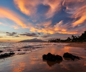 Hawaje, Zachód słońca, Morze, Palmy, Plaża
