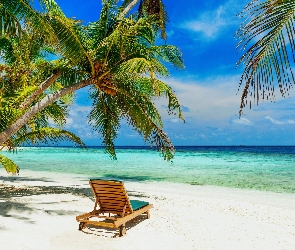 Palmy, Wakacje, Ocean, Leżak, Plaża