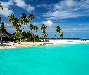 Domki, Plaża, Ocean, Chmury, Palmy, Malediwy, Morze