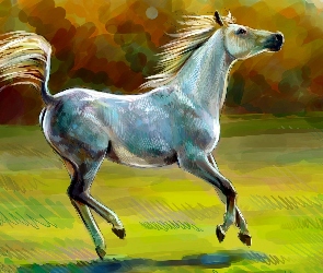 Obraz, Akwarela, Koń