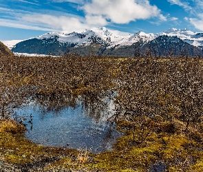 Islandia, Jezioro, Góry, Drzewa, Park Narodowy Vatnajökull