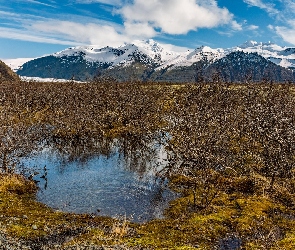 Park Narodowy Vatnajökull, Jezioro, Drzewa, Góry, Islandia