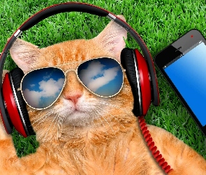 Kot, Słuchawki, Śmieszne, Telefon, Trawa, Okulary
