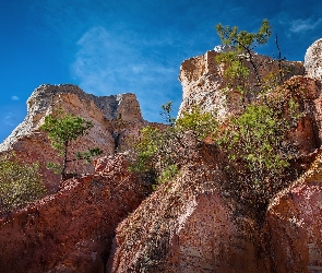 Stan Georgia, Drzewka, Skały, Park stanowy Providence Canyon, Stany Zjednoczone