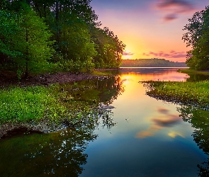 Rzeka, Drzewa, Zachód słońca, Las