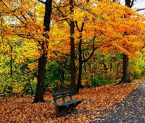 Jesień, Ławeczka, Park, Drzewa