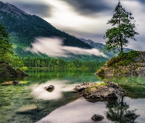 Skały, Lasy, Bawaria, Mgła, Góry, Niemcy, Jezioro Hintersee