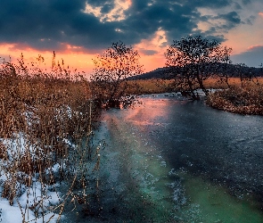 Rzeka, Wzgórza, Drzewa, Zachód słońca, Trawa