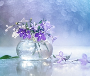 Lobelia, Bokeh, Wazonik, Kwiaty, Dekoracja