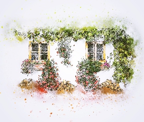 Paintography, Okna, Kwiaty