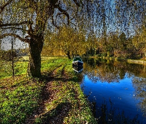 Drzewa, Łódka, Park, Kanał