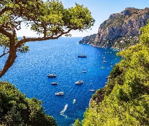 Wyspa Capri, Włochy, Jachty, Morze Tyrreńskie, Drzewo, Skały, Zatoka Marina Piccola