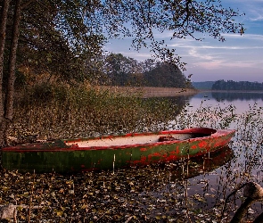 Jezioro, Drzewa, Trawy, Liście, Łódka