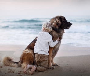 Przyjaciele, Morze, Pies, Dziecko, Leonberger, Plaża