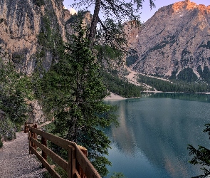 Świerki, Barierka, Góry, Włochy, Jezioro Pragser Wildsee, Dróżka