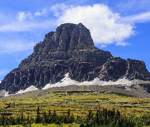 Drzewa, Góra Clements Mountain, Stan Montana, Stany Zjednoczone, Park Narodowy Glacier, Góry