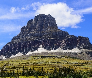 Stany Zjednoczone, Stan Montana, Drzewa, Góry, Góra Clements Mountain, Park Narodowy Glacier